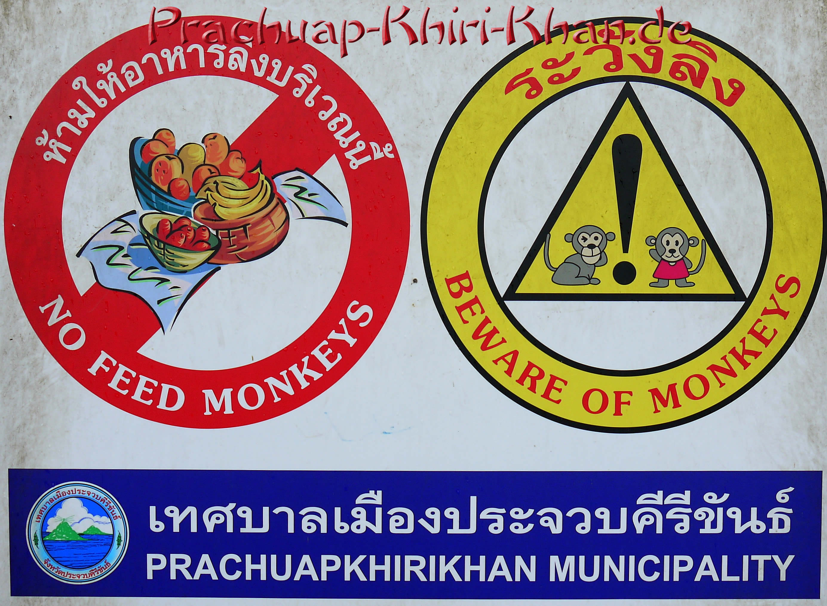 Affen füttern verboten in Thailand