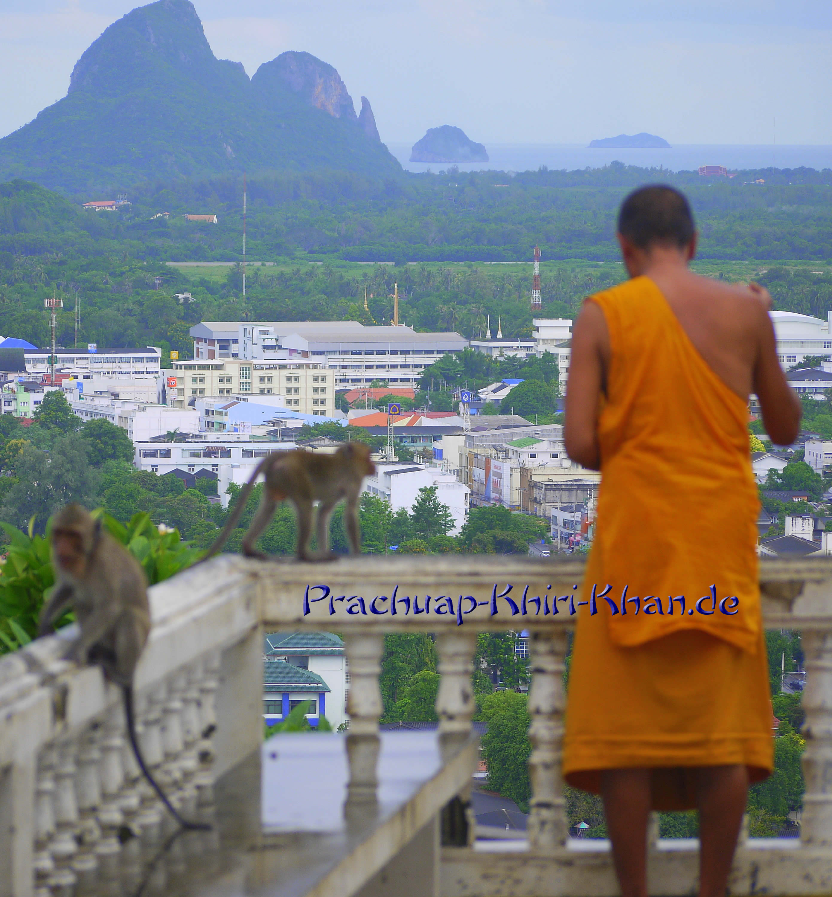 Mönch und Affen in Thailand