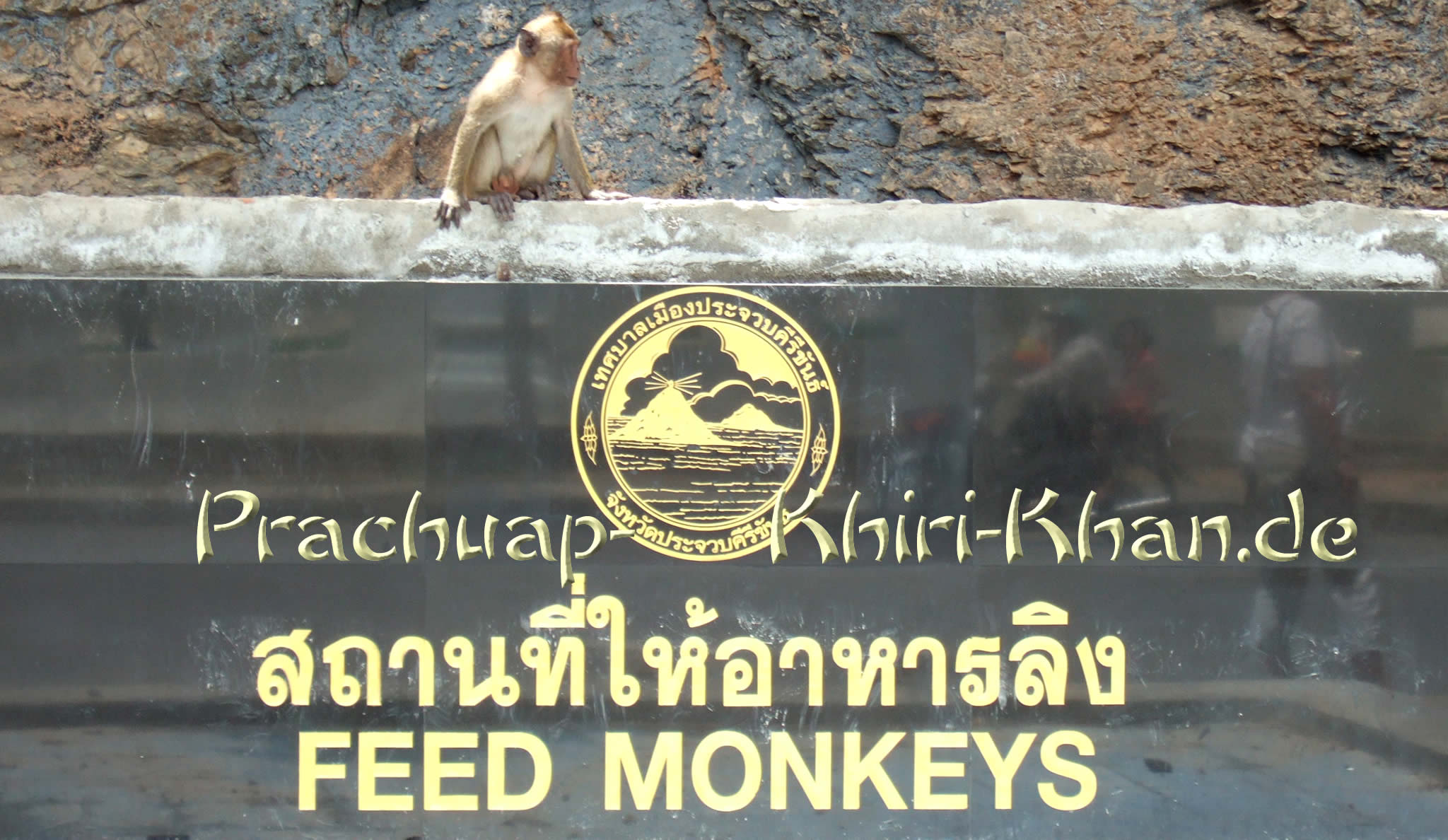 Feed Monkeys - Khao Chong Kra Chok
